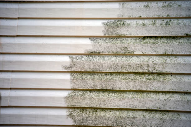 Best Residential Vinyl Siding Installation  in Highland Lakes, AL