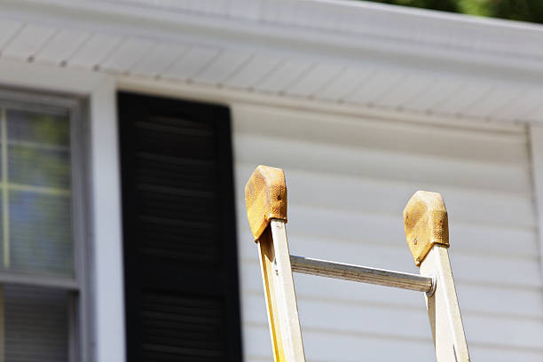 Best Steel Siding Installation  in Highland Lakes, AL